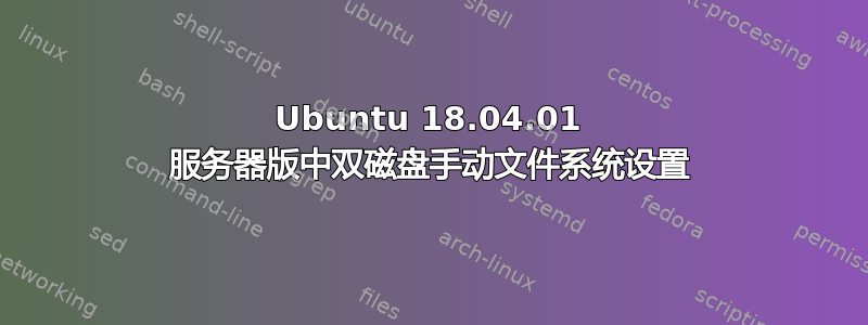 Ubuntu 18.04.01 服务器版中双磁盘手动文件系统设置