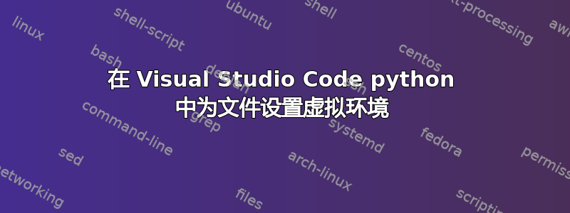 在 Visual Studio Code python 中为文件设置虚拟环境