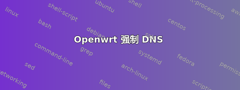 Openwrt 强制 DNS