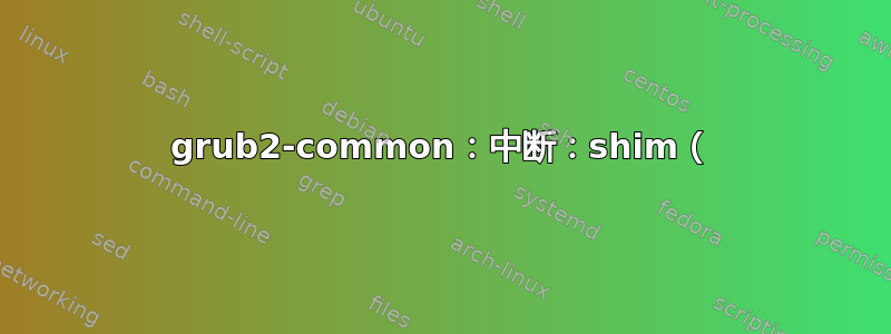 grub2-common：中断：shim（