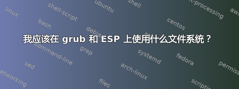 我应该在 grub 和 ESP 上使用什么文件系统？