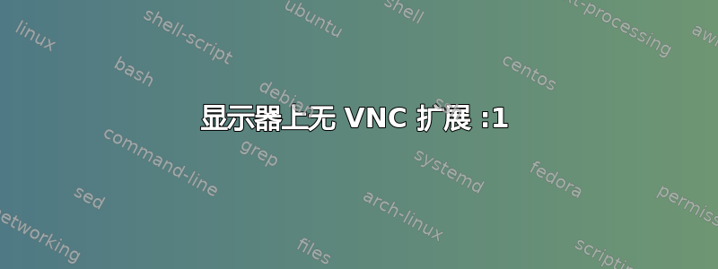 显示器上无 VNC 扩展 :1