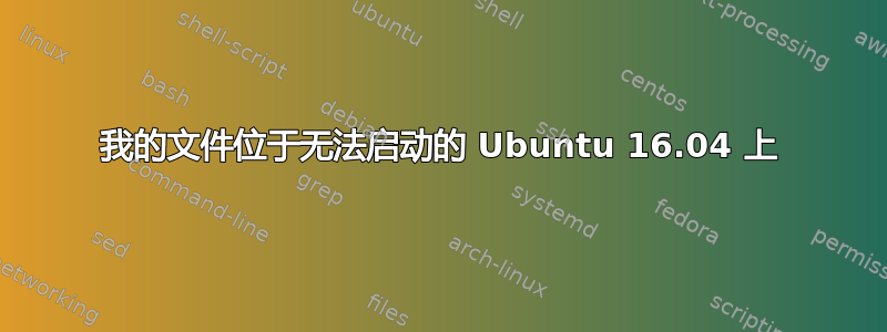 我的文件位于无法启动的 Ubuntu 16.04 上