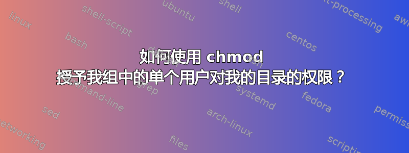 如何使用 chmod 授予我组中的单个用户对我的目录的权限？