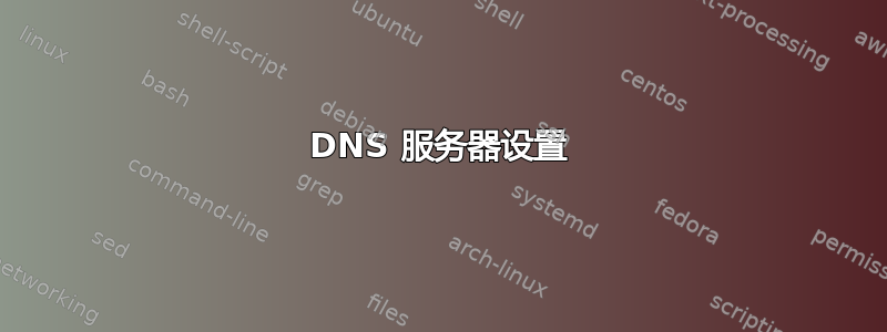 DNS 服务器设置