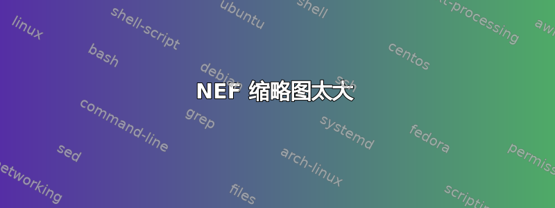 NEF 缩略图太大