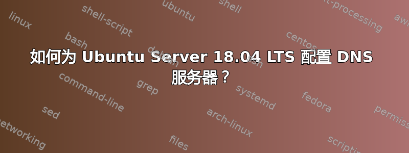 如何为 Ubuntu Server 18.04 LTS 配置 DNS 服务器？