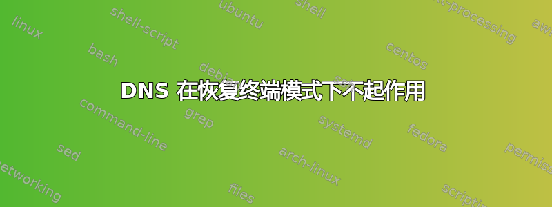 DNS 在恢复终端模式下不起作用