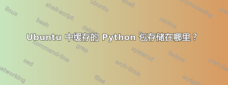 Ubuntu 中缓存的 Python 包存储在哪里？