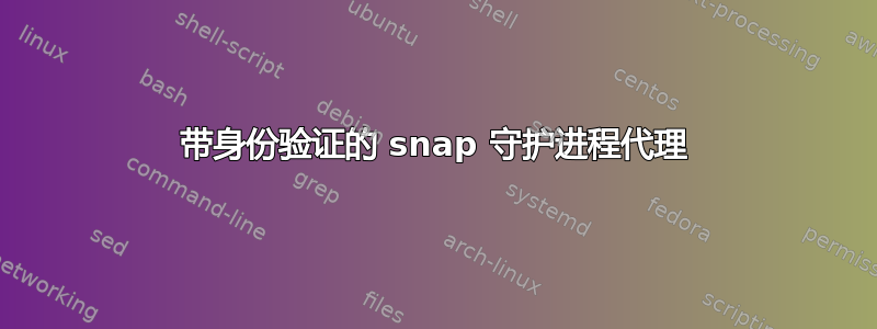 带身份验证的 snap 守护进程代理