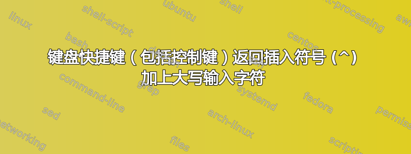 键盘快捷键（包括控制键）返回插入符号 (^) 加上大写输入字符