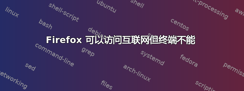 Firefox 可以访问互联网但终端不能