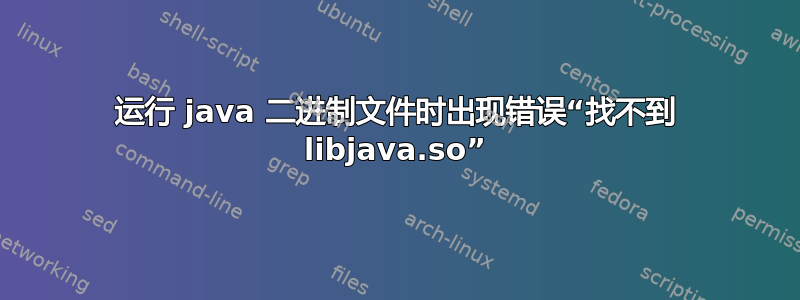 运行 java 二进制文件时出现错误“找不到 libjava.so”