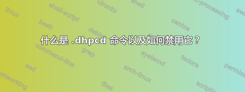 什么是 .dhpcd 命令以及如何禁用它？