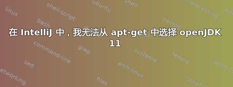 在 IntelliJ 中，我无法从 apt-get 中选择 openJDK 11