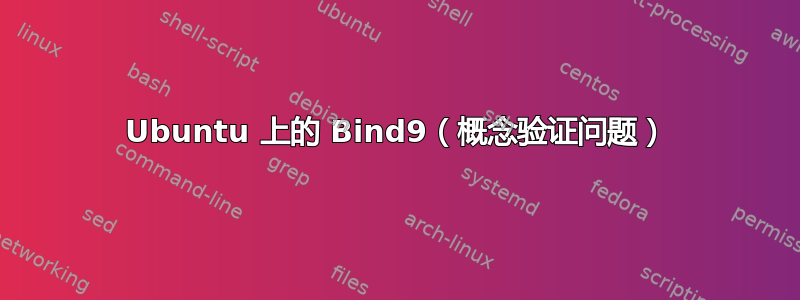 Ubuntu 上的 Bind9（概念验证问题）