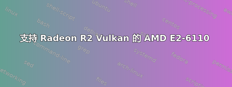 支持 Radeon R2 Vulkan 的 AMD E2-6110