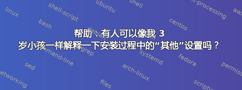 帮助：有人可以像我 3 岁小孩一样解释一下安装过程中的“其他”设置吗？