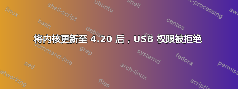 将内核更新至 4.20 后，USB 权限被拒绝