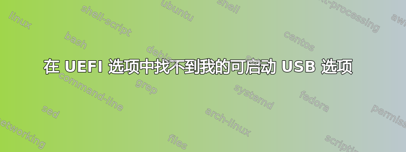 在 UEFI 选项中找不到我的可启动 USB 选项 