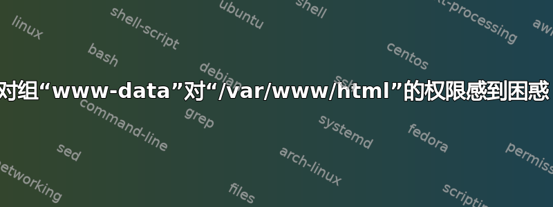 对组“www-data”对“/var/www/html”的权限感到困惑
