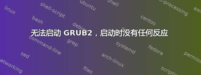 无法启动 GRUB2，启动时没有任何反应