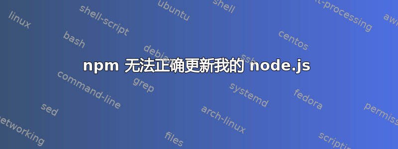 npm 无法正确更新我的 node.js