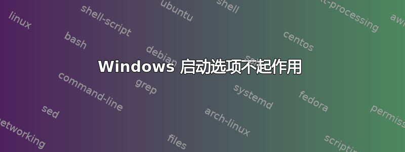 Windows 启动选项不起作用