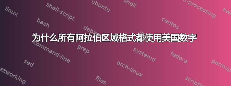 为什么所有阿拉伯区域格式都使用美国数字