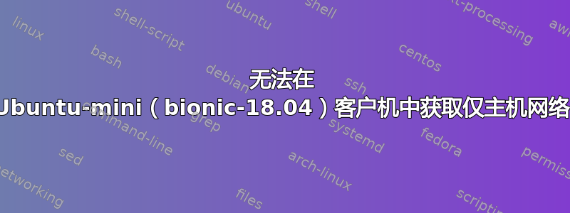 无法在 Ubuntu-mini（bionic-18.04）客户机中获取仅主机网络