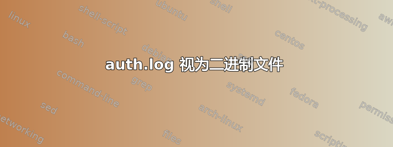 auth.log 视为二进制文件