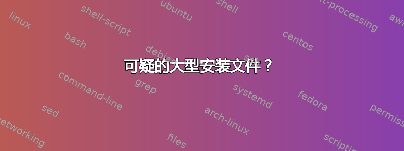 可疑的大型安装文件？