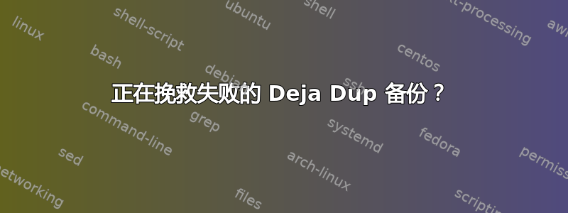 正在挽救失败的 Deja Dup 备份？