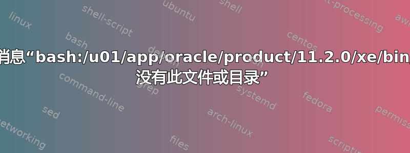 终端窗口中出现消息“bash:/u01/app/oracle/product/11.2.0/xe/bin/nls_lang.sh: 没有此文件或目录”