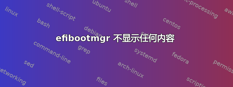 efibootmgr 不显示任何内容