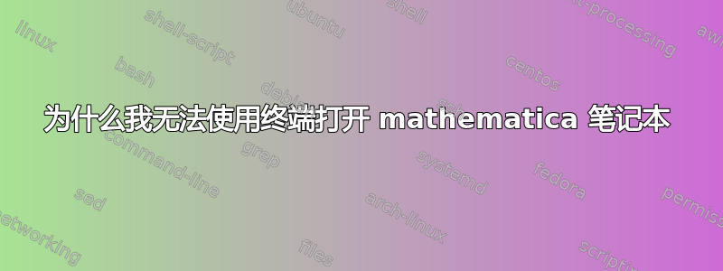 为什么我无法使用终端打开 mathematica 笔记本