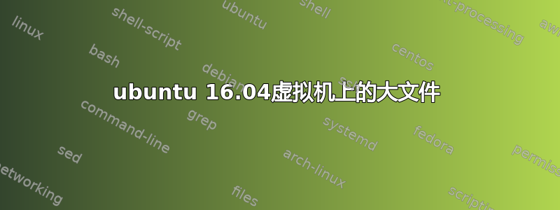 ubuntu 16.04虚拟机上的大文件