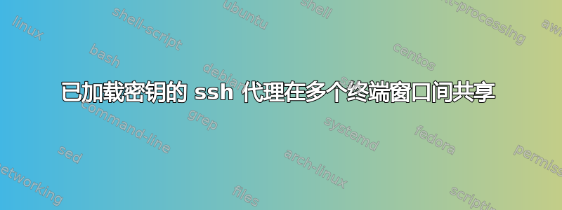 已加载密钥的 ssh 代理在多个终端窗口间共享