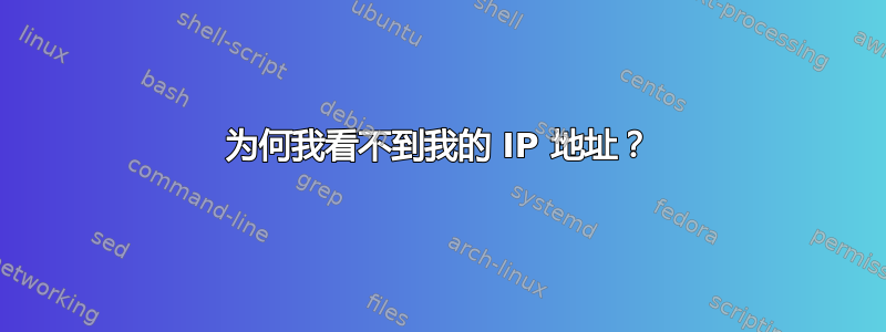 为何我看不到我的 IP 地址？