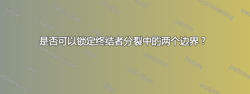 是否可以锁定终结者分裂中的两个边界？