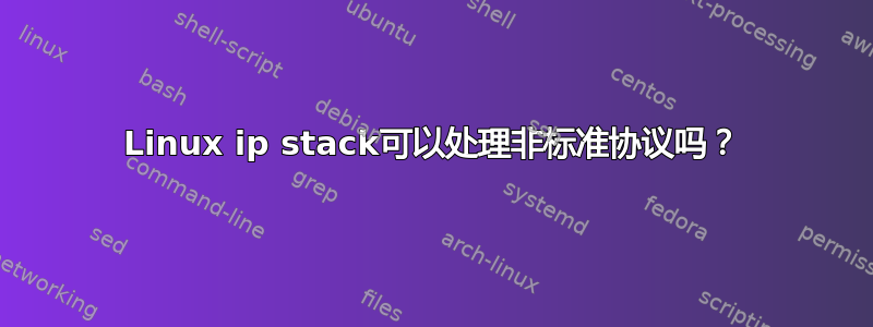 Linux ip stack可以处理非标准协议吗？