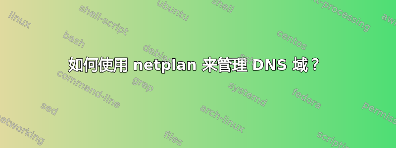 如何使用 netplan 来管理 DNS 域？