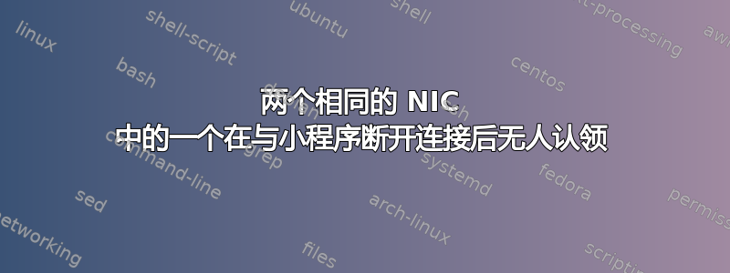 两个相同的 NIC 中的一个在与小程序断开连接后无人认领