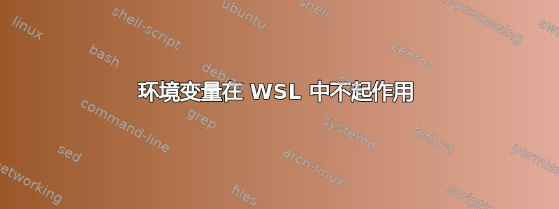 环境变量在 WSL 中不起作用