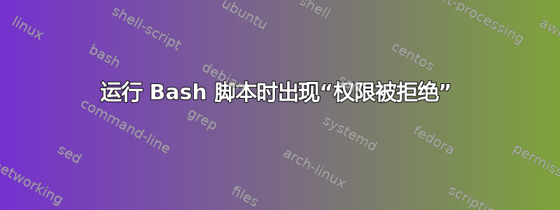 运行 Bash 脚本时出现“权限被拒绝”