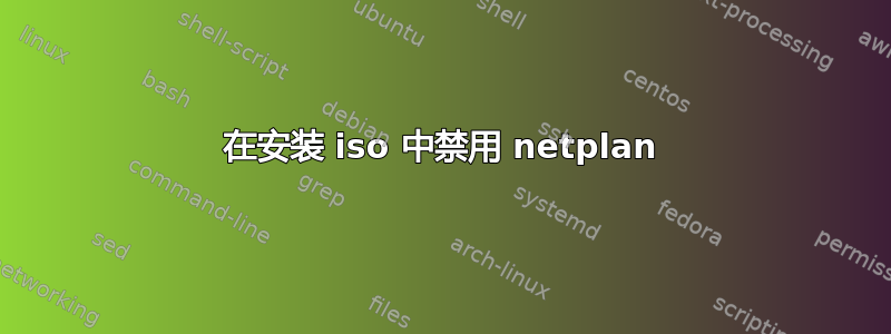 在安装 iso 中禁用 netplan