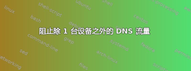 阻止除 1 台设备之外的 DNS 流量