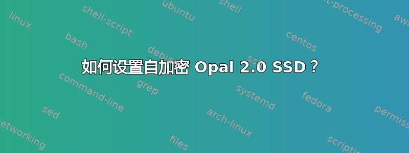 如何设置自加密 Opal 2.0 SSD？