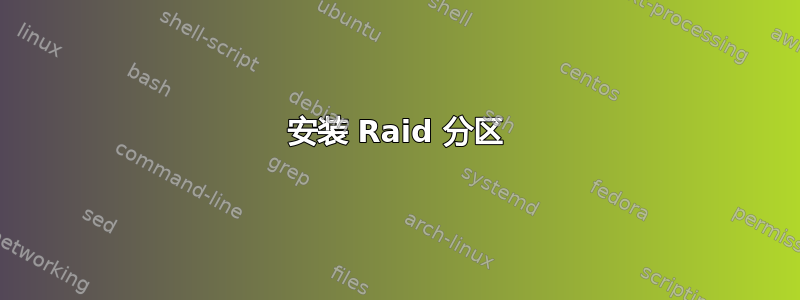 安装 Raid 分区