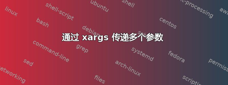 通过 xargs 传递多个参数